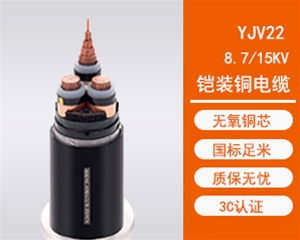 ZR-YJV22中压交联电缆